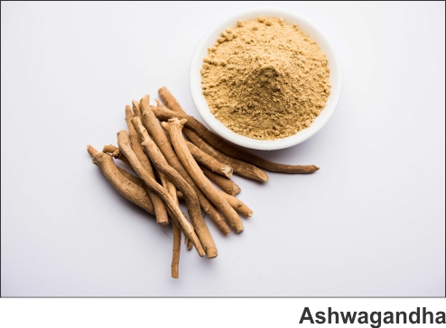 Botanical/Herbal Extracts Ashwagandha Extract