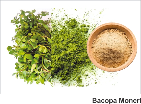 Praksons Botanical/Herbal Extracts Bacopa Monnieri Extract