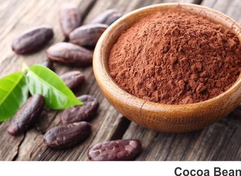 Praksons Botanical/Herbal Extracts Cocoa Bean Extract
