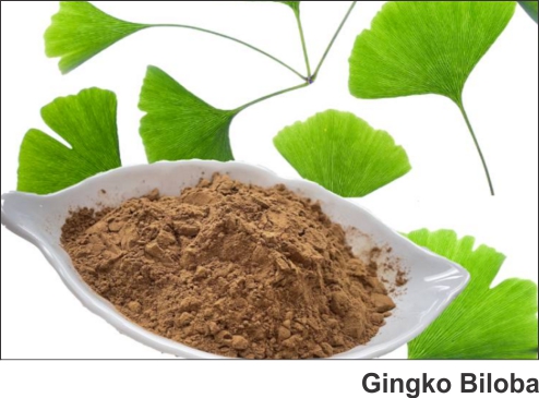 Praksons Botanical/Herbal Extracts Gingko Biloba Extract