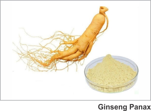 Praksons Botanical/Herbal Extracts Ginseng (Panax) Extract
