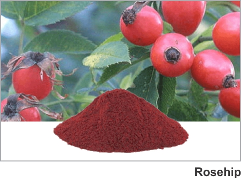 Praksons Botanical/Herbal Extracts Rosehip Extract